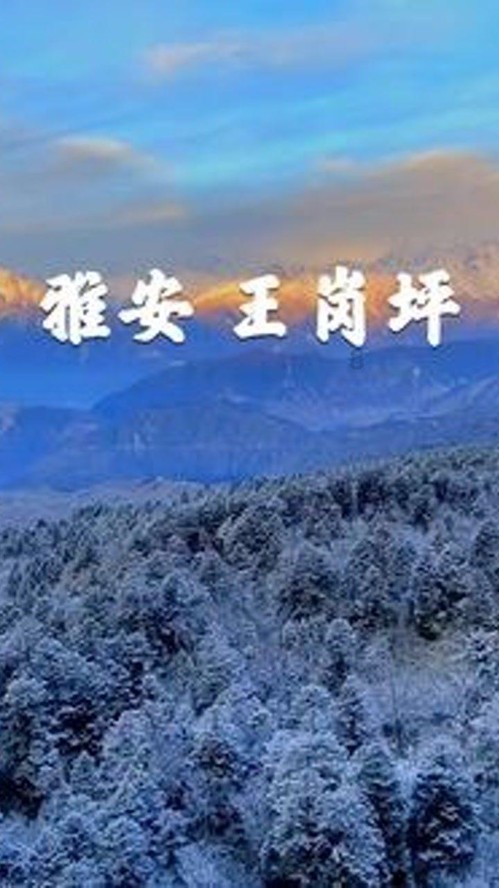 救援居曼基女孩
