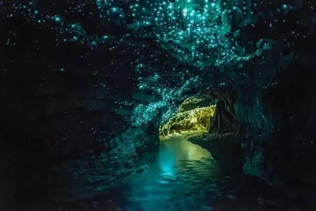 海底世界填颜色5